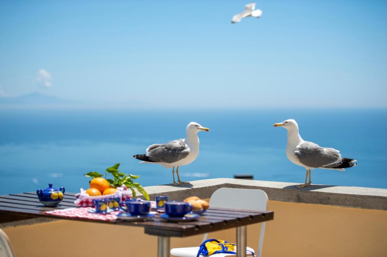 Casa Licia Lägenhet Positano Exteriör bild